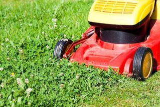 Kdo nezaregistroval nový poplatek za sekačku, ten má problém. Za jeho nezaplacení se teď budou rozdávat pokuty 50 000 Kč, už není cesty zpět